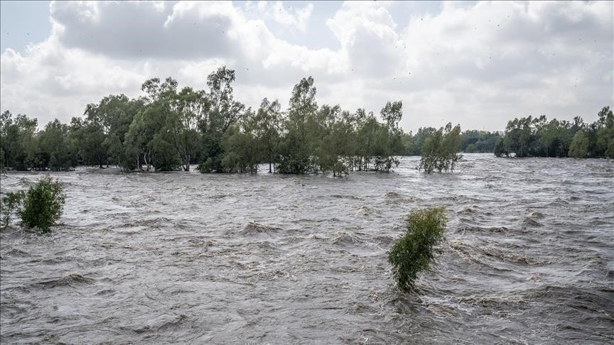 12 Tewas Akibat Runtuhnya Jembatan di Brasil